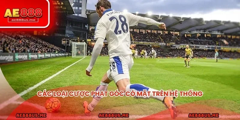 Các loại cược phạt góc có mặt trên hệ thống và mức thưởng hấp dẫn