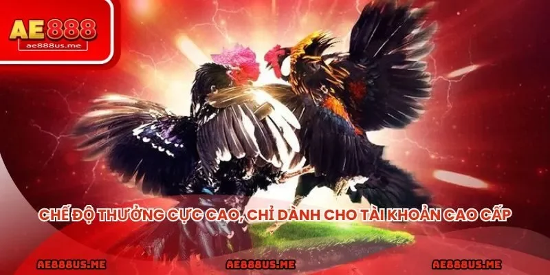 Chế độ thưởng cực cao, chỉ dành cho tài khoản cao cấp