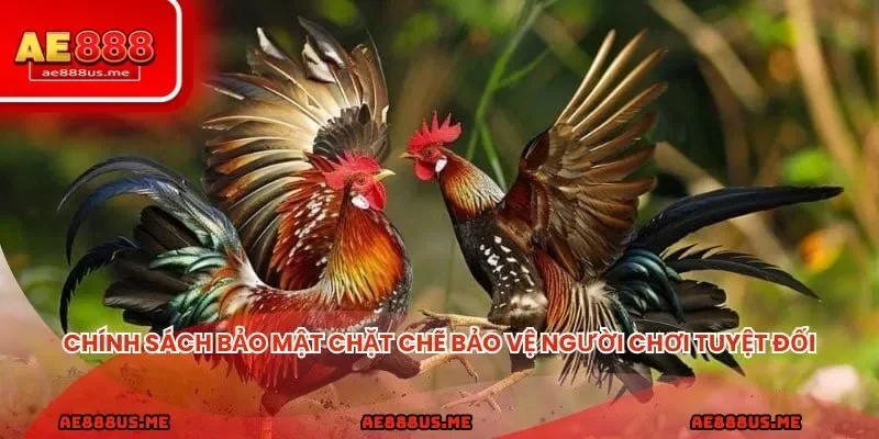 Chính sách bảo mật chặt chẽ bảo vệ người chơi tuyệt đối