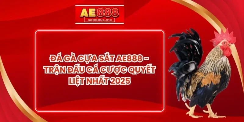 Đá gà cựa sắt AE888 - Trận Đấu Cá Cược Quyết Liệt Nhất 2025