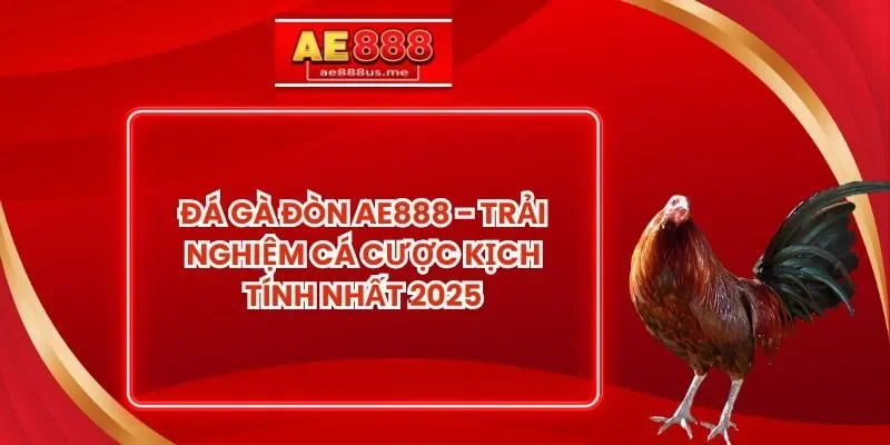 Đá Gà Đòn AE888 - Trải Nghiệm Cá Cược  Kịch Tính Nhất 2025