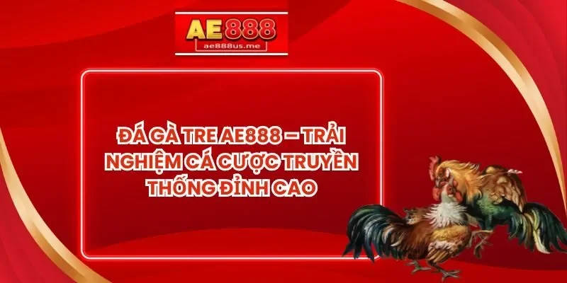 Đá Gà Tre AE888 – Trải Nghiệm Cá Cược Truyền Thống Đỉnh Cao