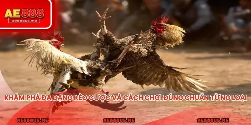 Khám phá đa dạng kèo cược và cách chơi đúng chuẩn từng loại.