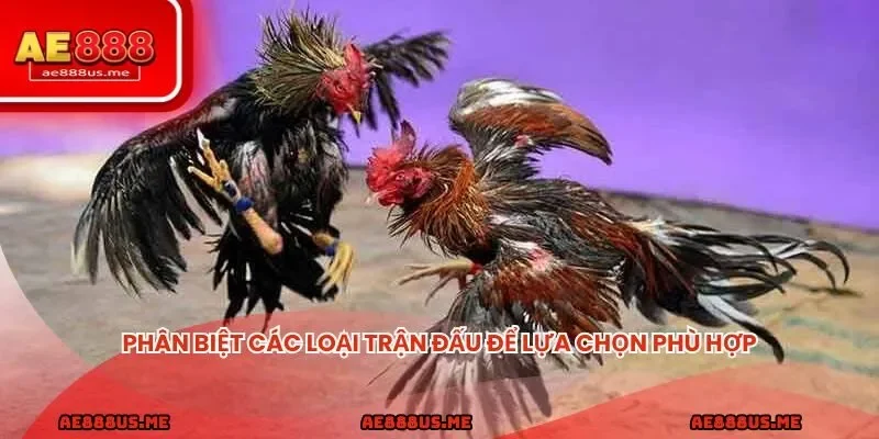 Phân biệt các loại trận đấu để lựa chọn phù hợp