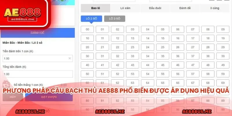 Phương pháp cầu bạch thủ AE888 phổ biến được áp dụng hiệu quả