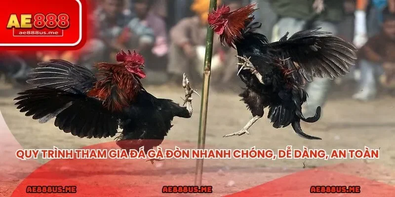 Quy trình đăng ký tài khoản tham gia đá gà đòn nhanh chóng, dễ dàng, an toàn